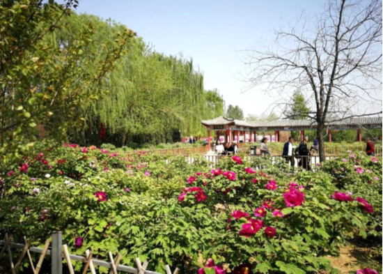 1557992188966358.png ͼƬ2.png