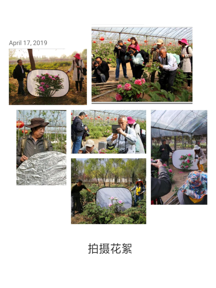 1557992202941998.png ͼƬ3.png